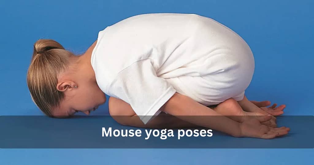 Mouse yoga poses
