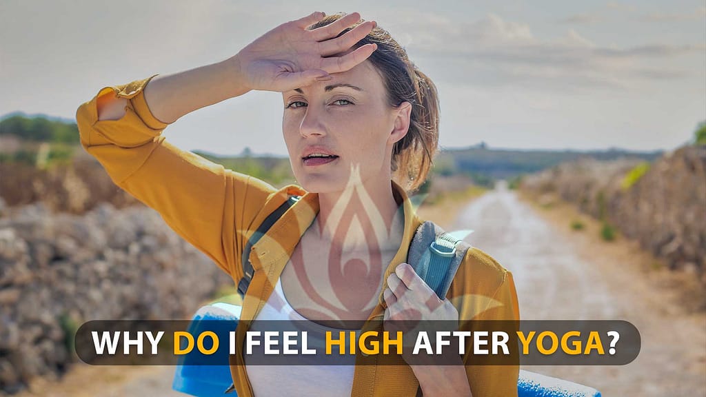 Why Do I feel High After Yoga?, How Yoga Affects Your Brain Chemically, Yoga Mind-body connection